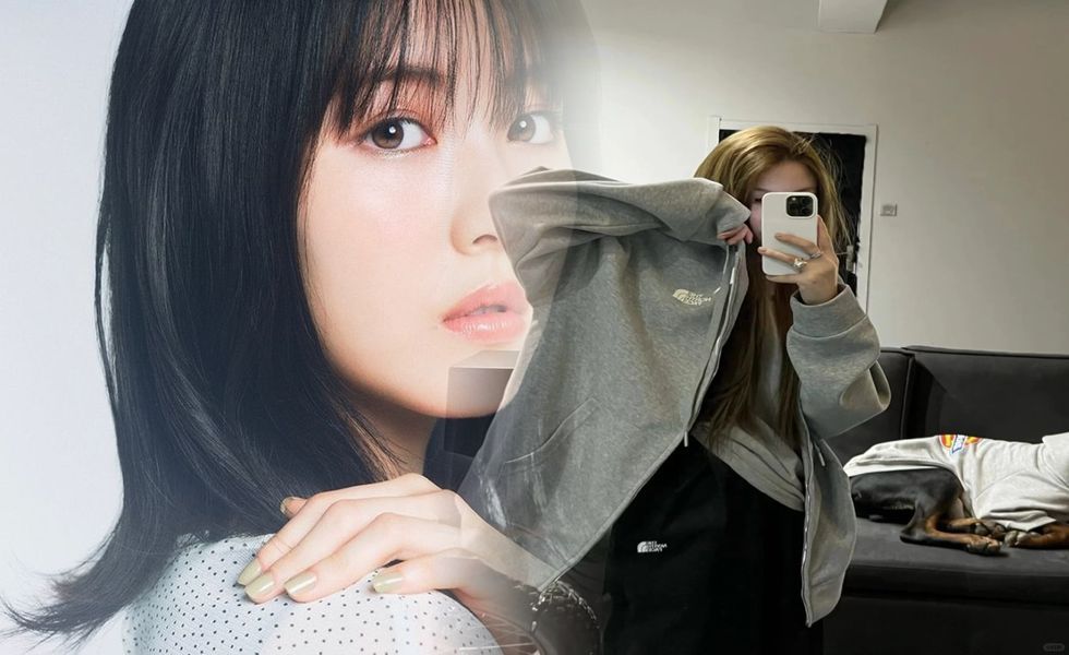 ノース フェイス 50 代