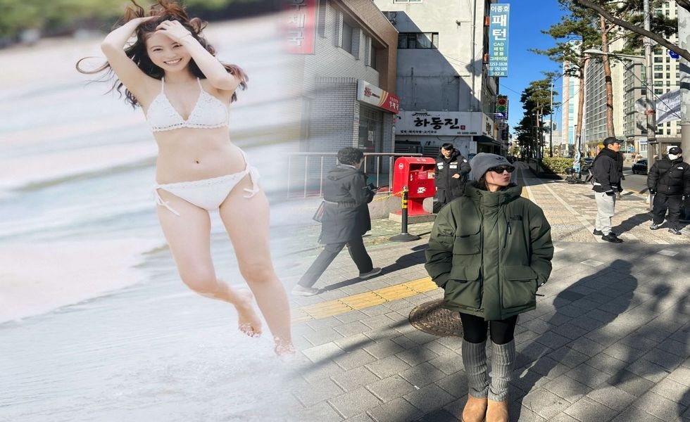 ノース フェイス wiki