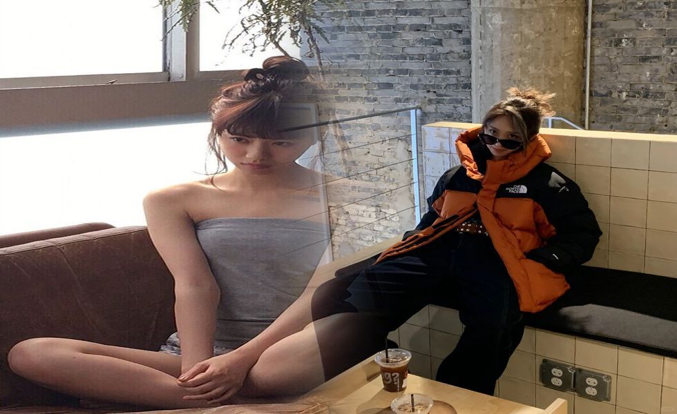 ノース フェイス 販売 情報