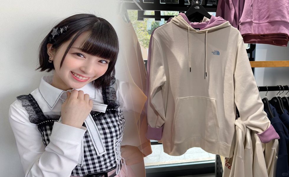 ノース フェイス 型番 ない