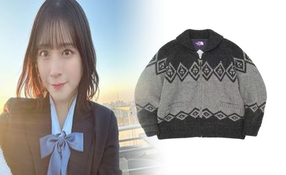 ノース フェイス us 企画