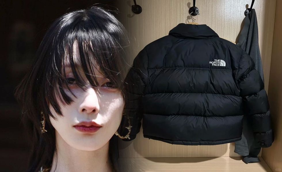 ノース フェイス ノベルティ