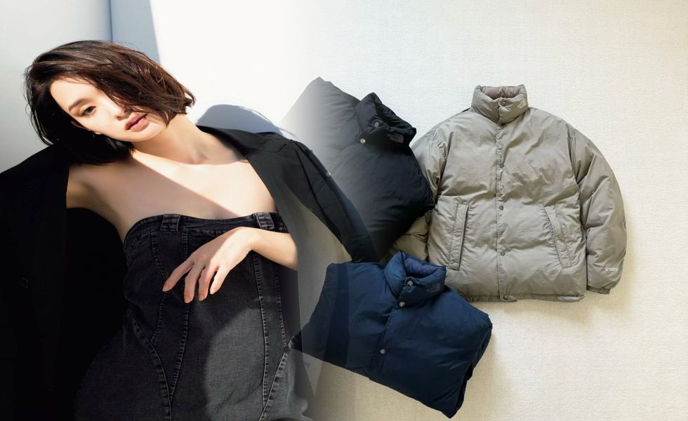 ザ ノース フェイス ベスト