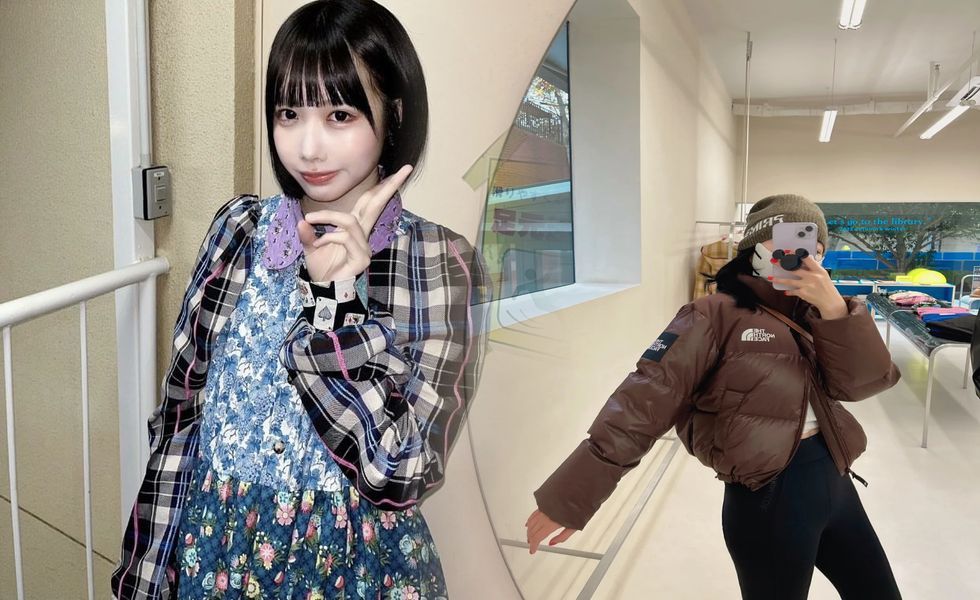 ノース フェイス tnf とは
