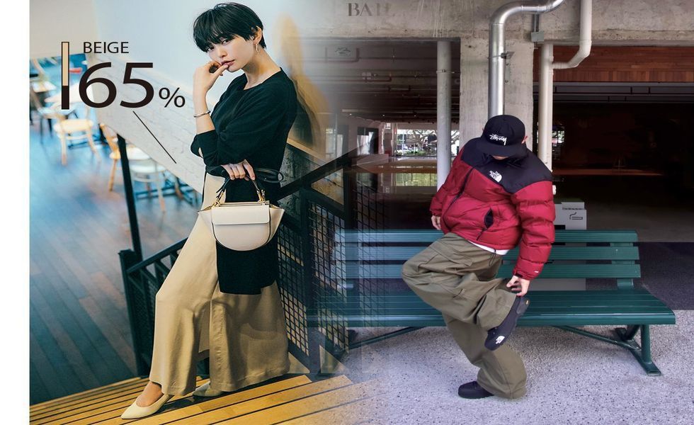 ノース フェイス 人気 モデル