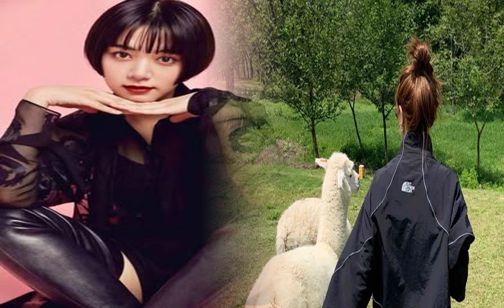 ノース フェイス ゼウス 評価