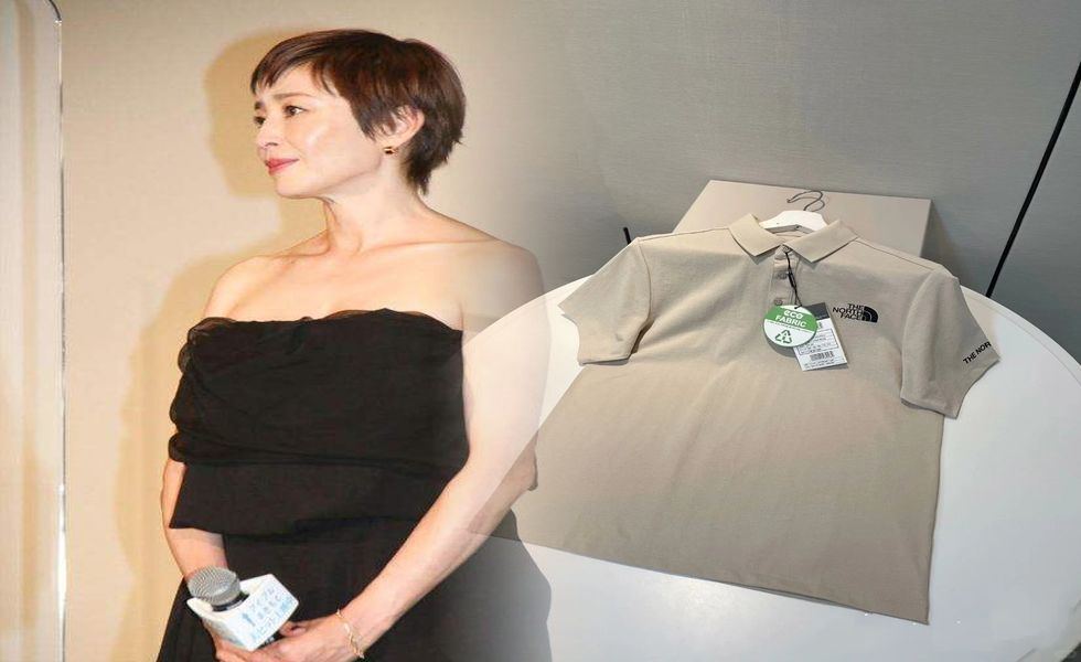 車 ノース フェイス ステッカー