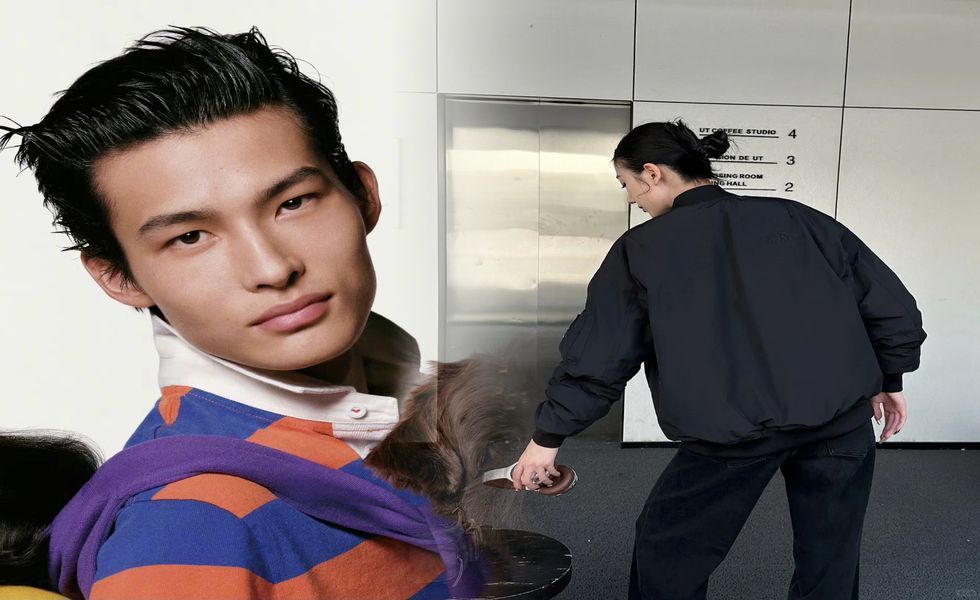 ノース フェイス ウッド ランド