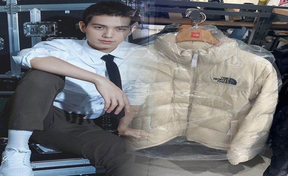 ノース フェイス 服 レディース