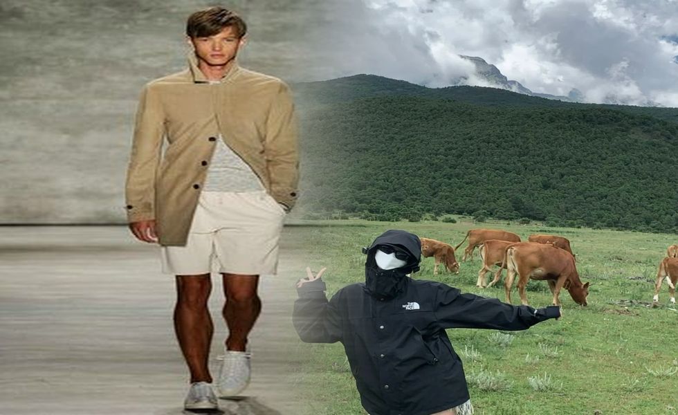 ノース フェイス nf51592