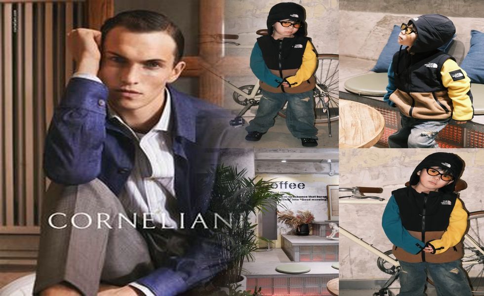 新潟 市 ノース フェイス 取扱 店