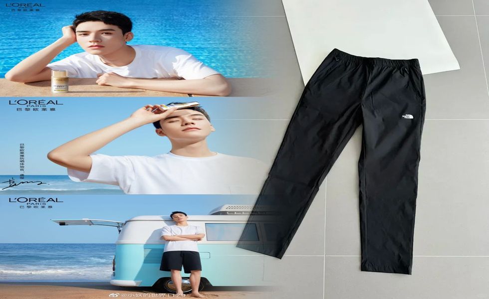 ノース フェイス スタンダード 違い