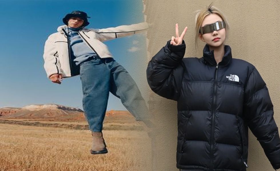 パーカー ノース フェイス レディース