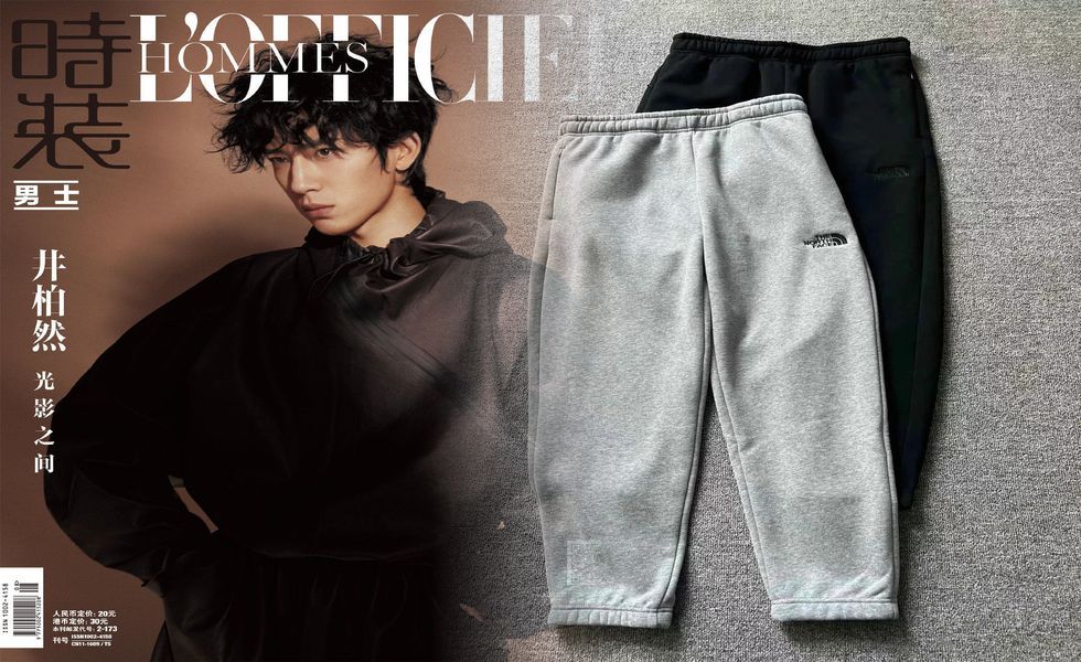 ノース フェイス フライト シリーズ