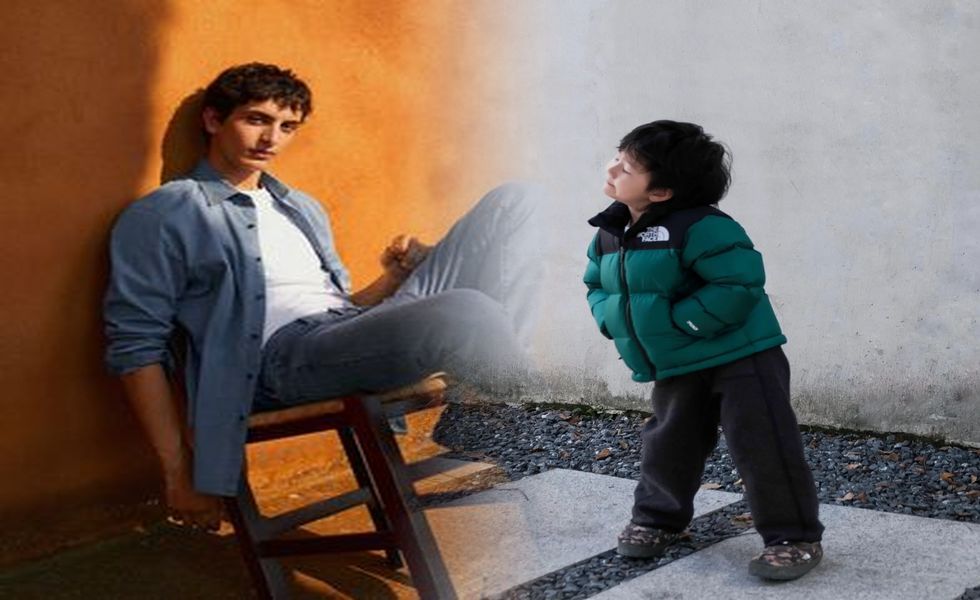 ノース フェイス ゴアテック ス マウンテン パーカー レディース