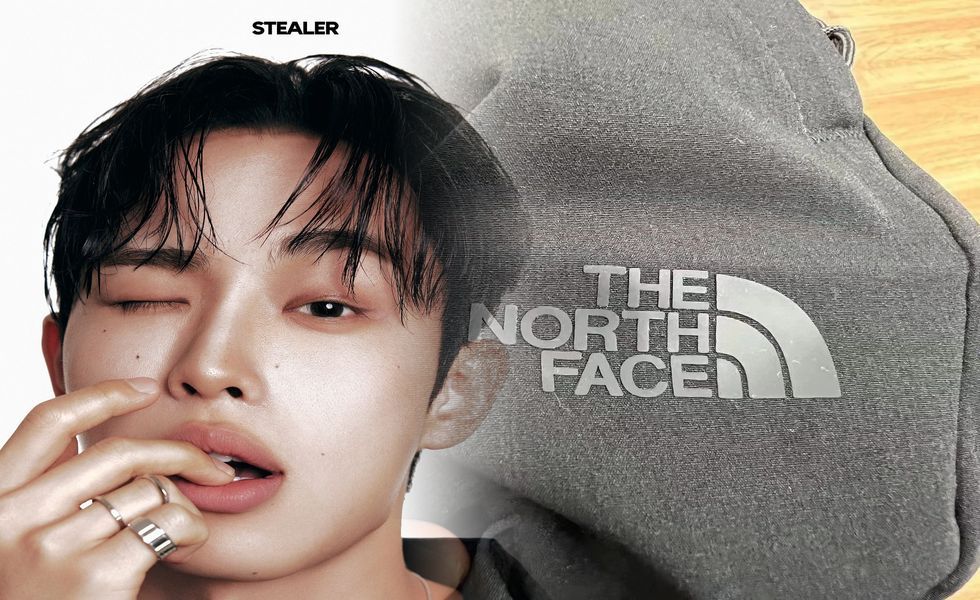 ノース フェイス スワロー テイル 洗濯