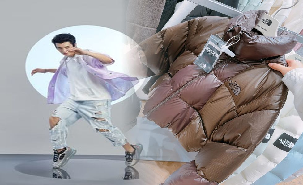 ノース フェイス スワロー テイル ベスト