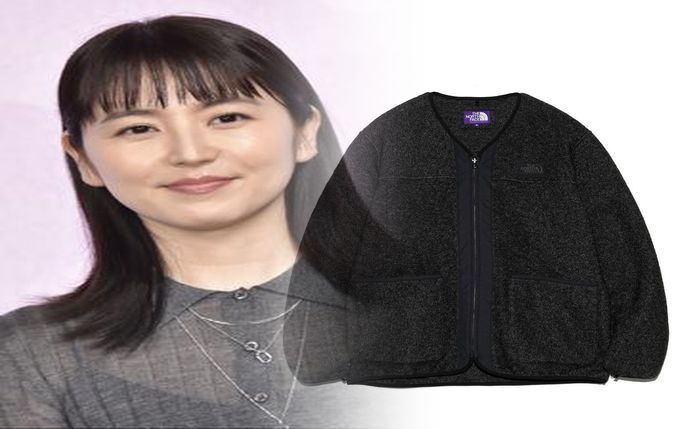 ノース フェイス インターナショナル コレクション