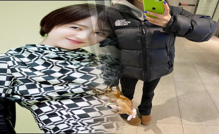 ノース フェイス 洋服