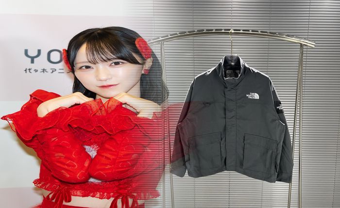 ノース フェイス の 服