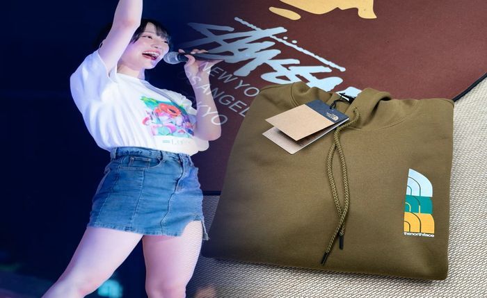 ベスト ノース フェイス