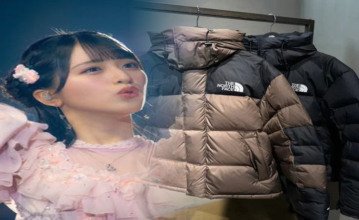 ノース フェイス と は