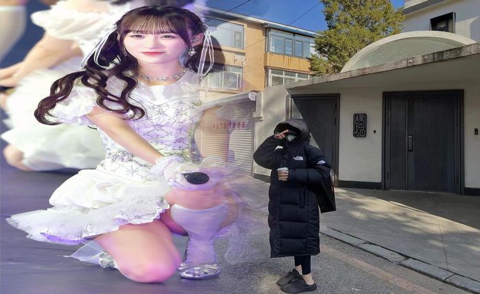 ノース フェイス ベスト
