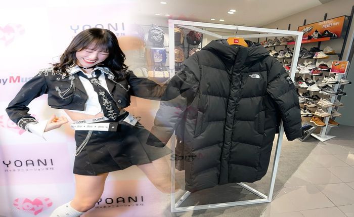 ノース フェイス バフィン