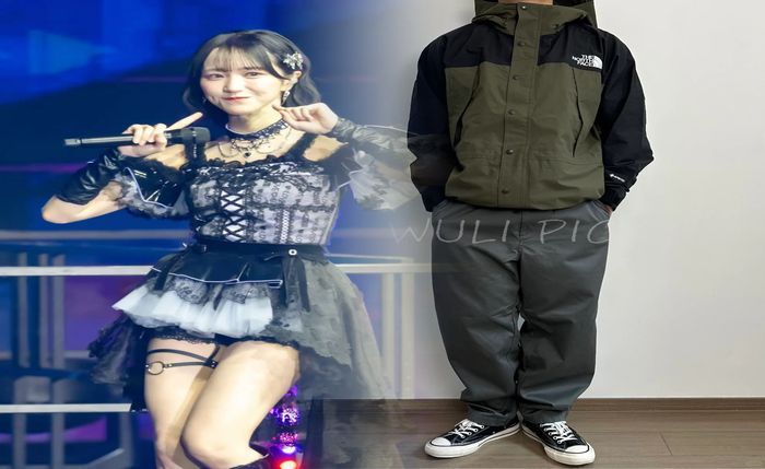 ノース フェイス 茶 タグ