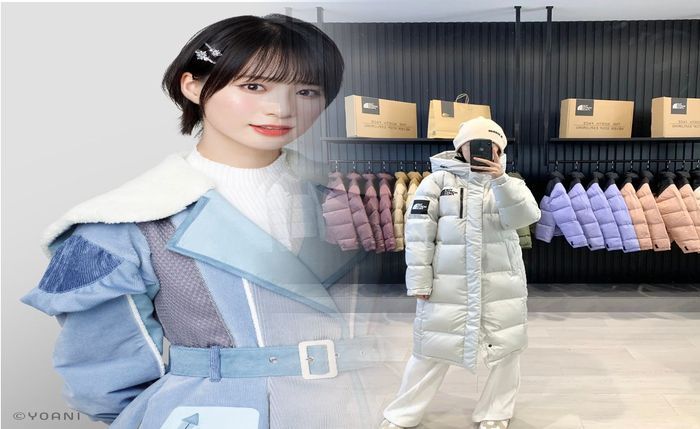 ノース フェイス パープル