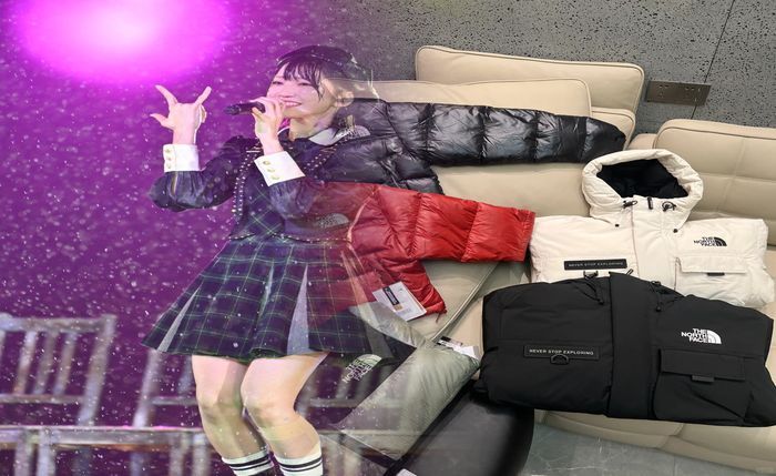 ノース フェイス グローブ