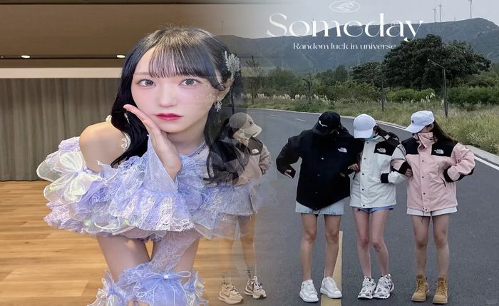 ノース フェイス 販売 情報