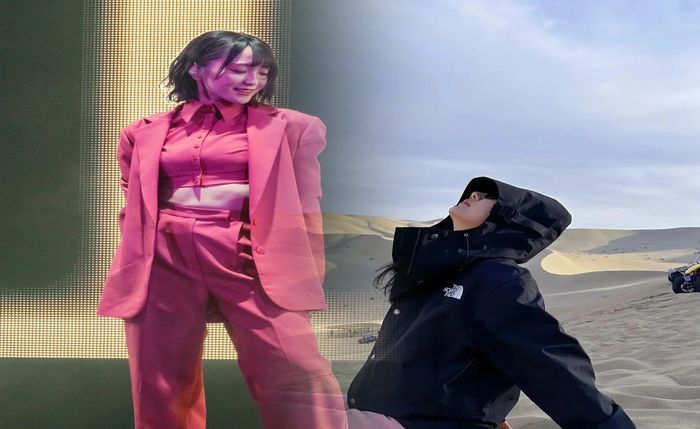 ノース フェイス 型番 ない