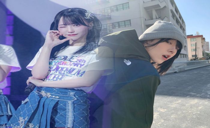 ノース フェイス プロテイン