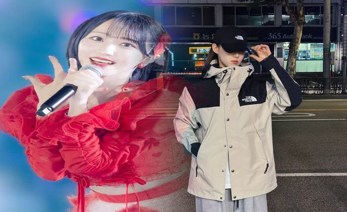 ノース フェイス recco