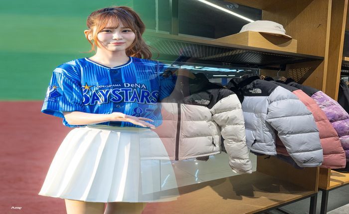 ノース フェイス インパルス