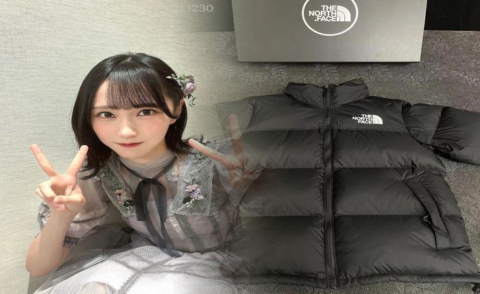 ノース フェイス 室内 履き