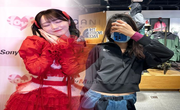 ノース フェイス タグ 種類