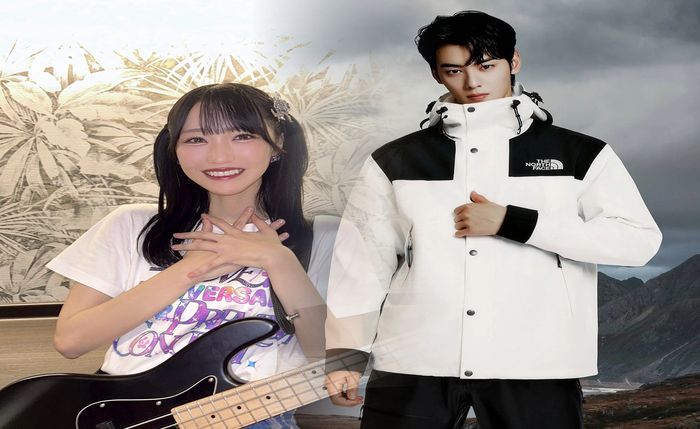 ノース フェイス 大阪 店舗