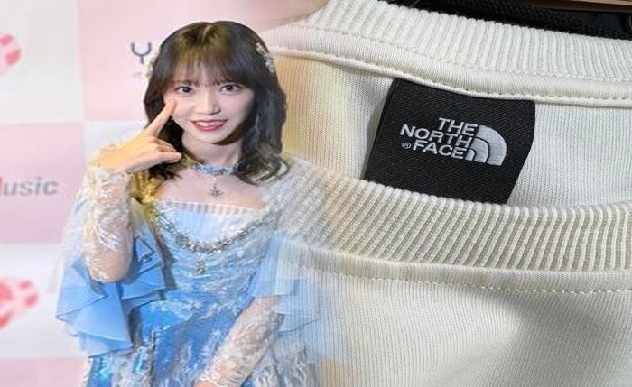 スウィープ ノース フェイス