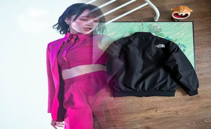 アノラック ノース フェイス