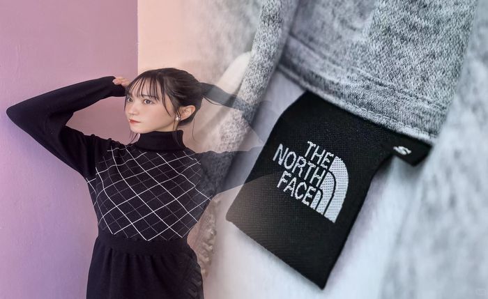 ノース フェイス ボストーク