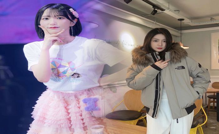 韓国 限定 ノース フェイス