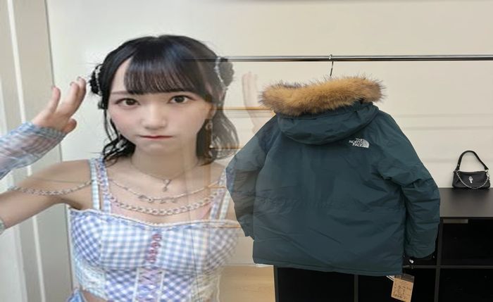 ノース フェイス ジャンパー
