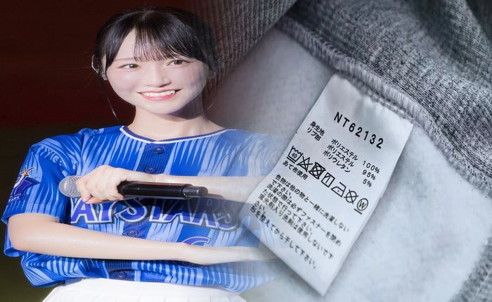ノース フェイス レディース