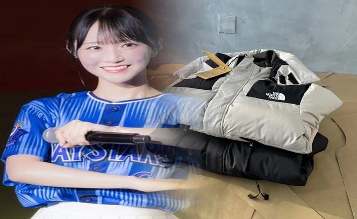 ノース フェイス グッズ 人気