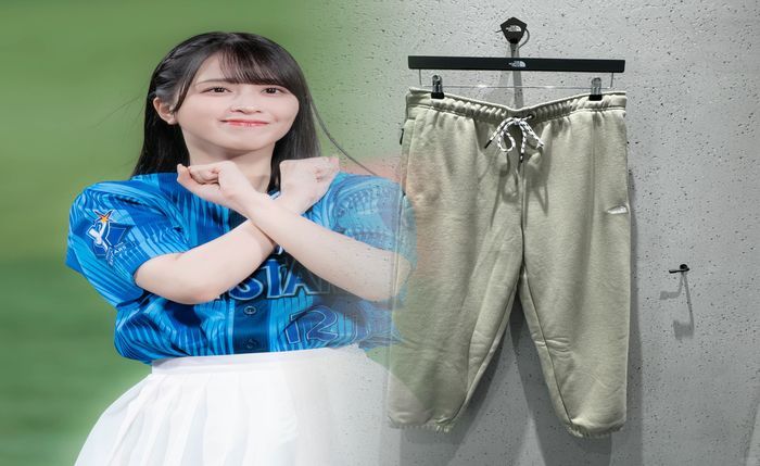 ノース フェイス 蜘蛛 の 糸