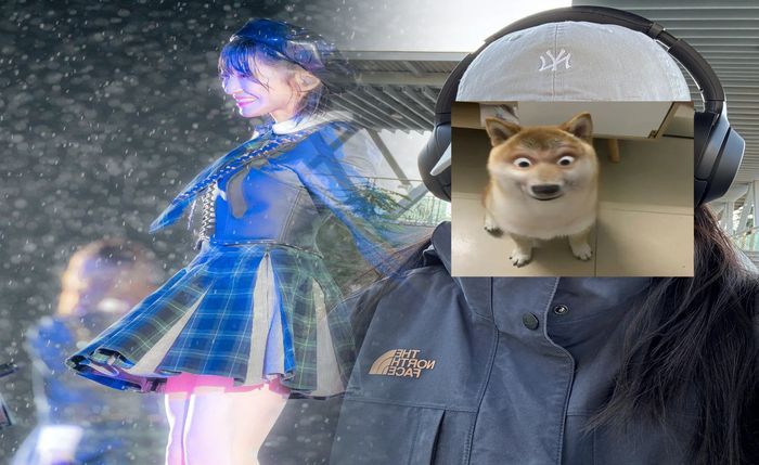 折り畳み 傘 ノース フェイス