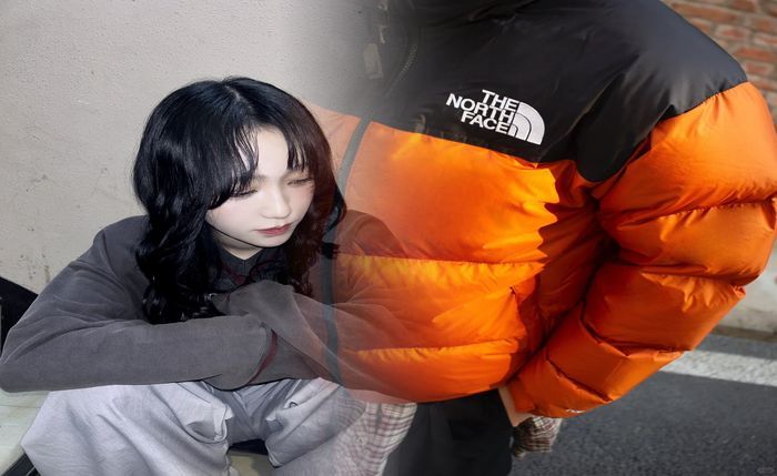 ノース フェイス ヌプシ 種類