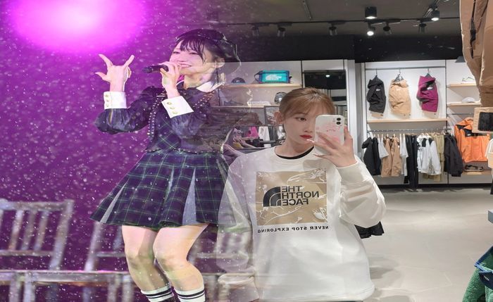 車 ノース フェイス ステッカー